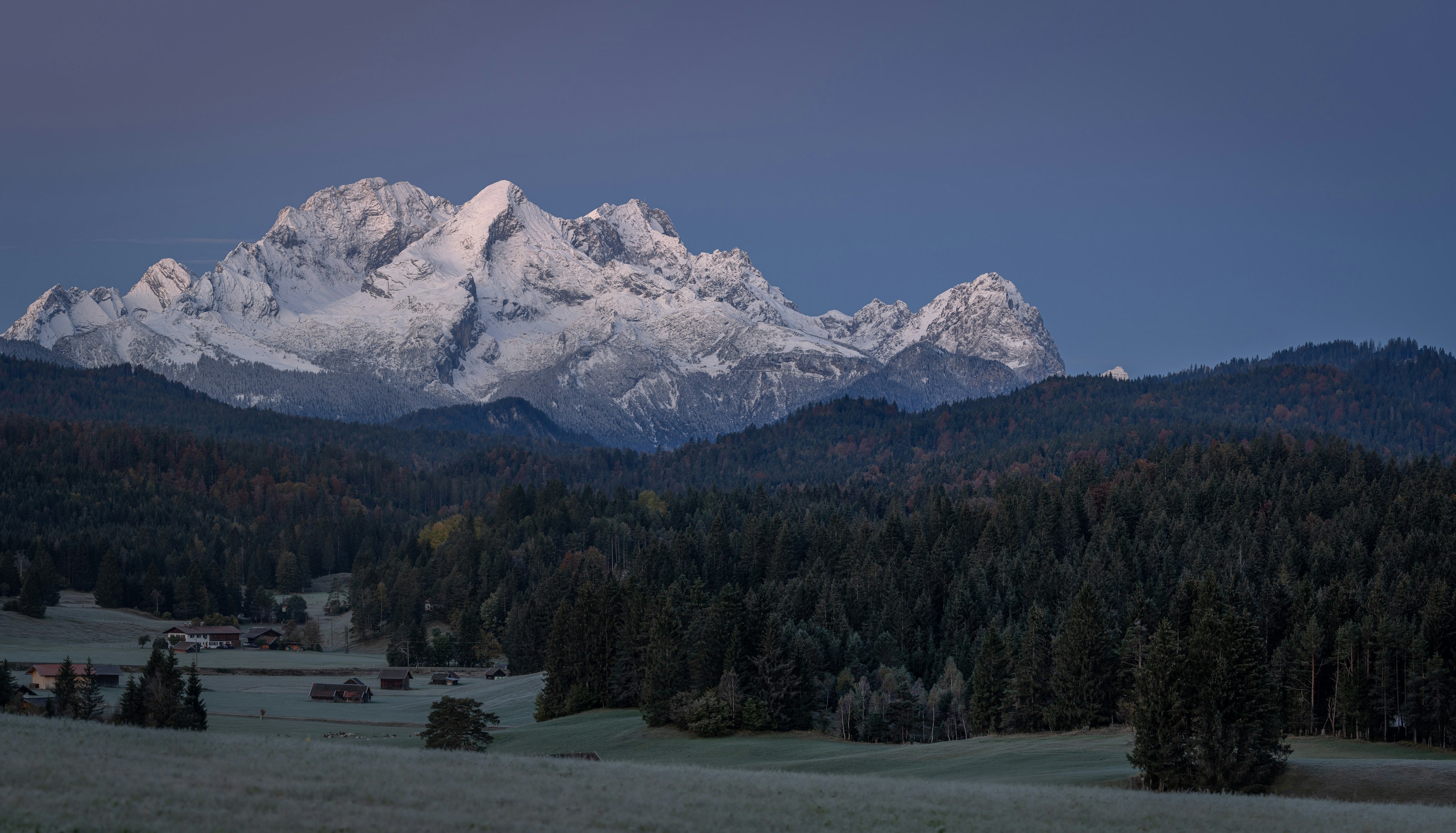 green pine trees near snow covered mountain during daytime